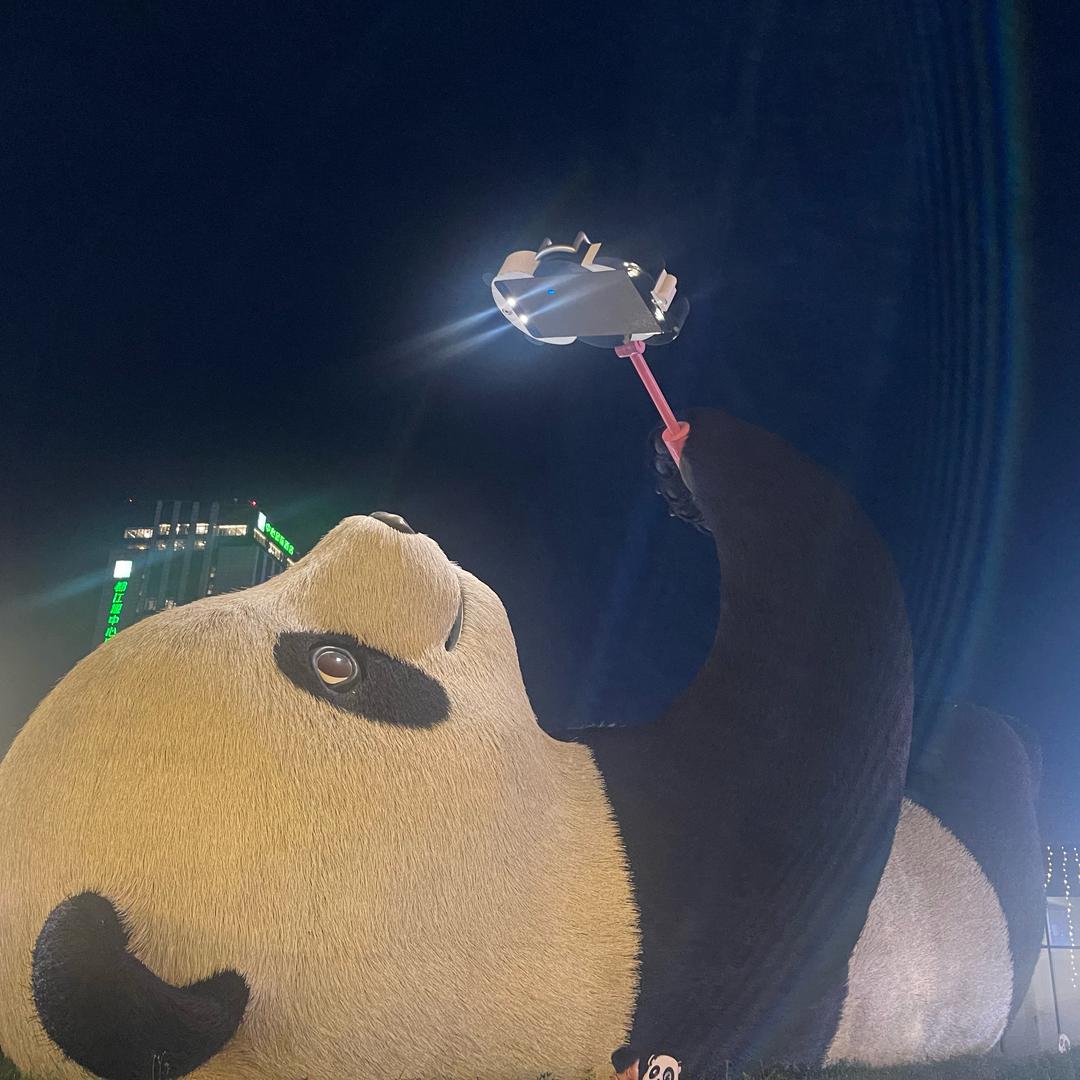 小陈爱分享