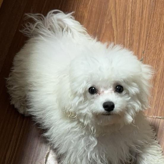 AA😈摇粒绒(互关必回）