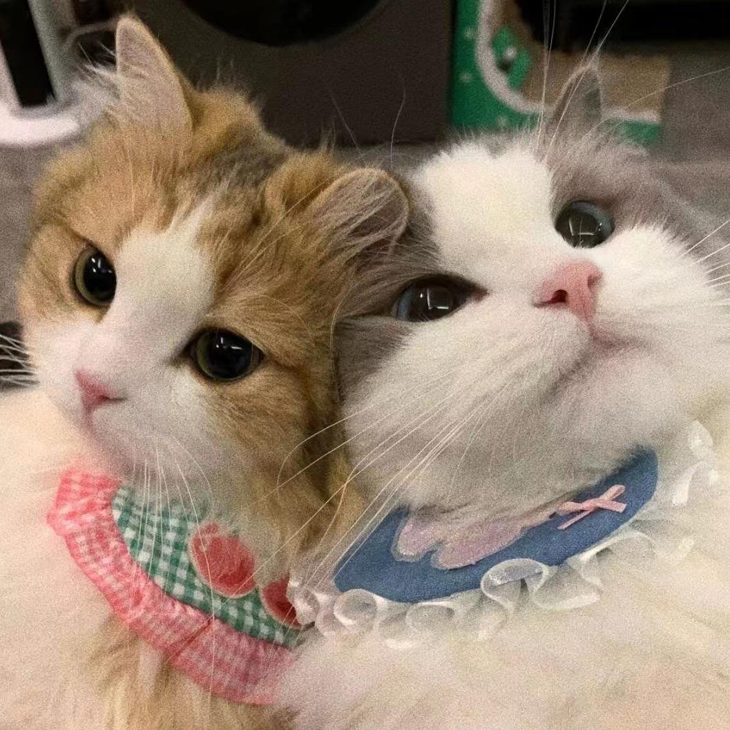 双葙