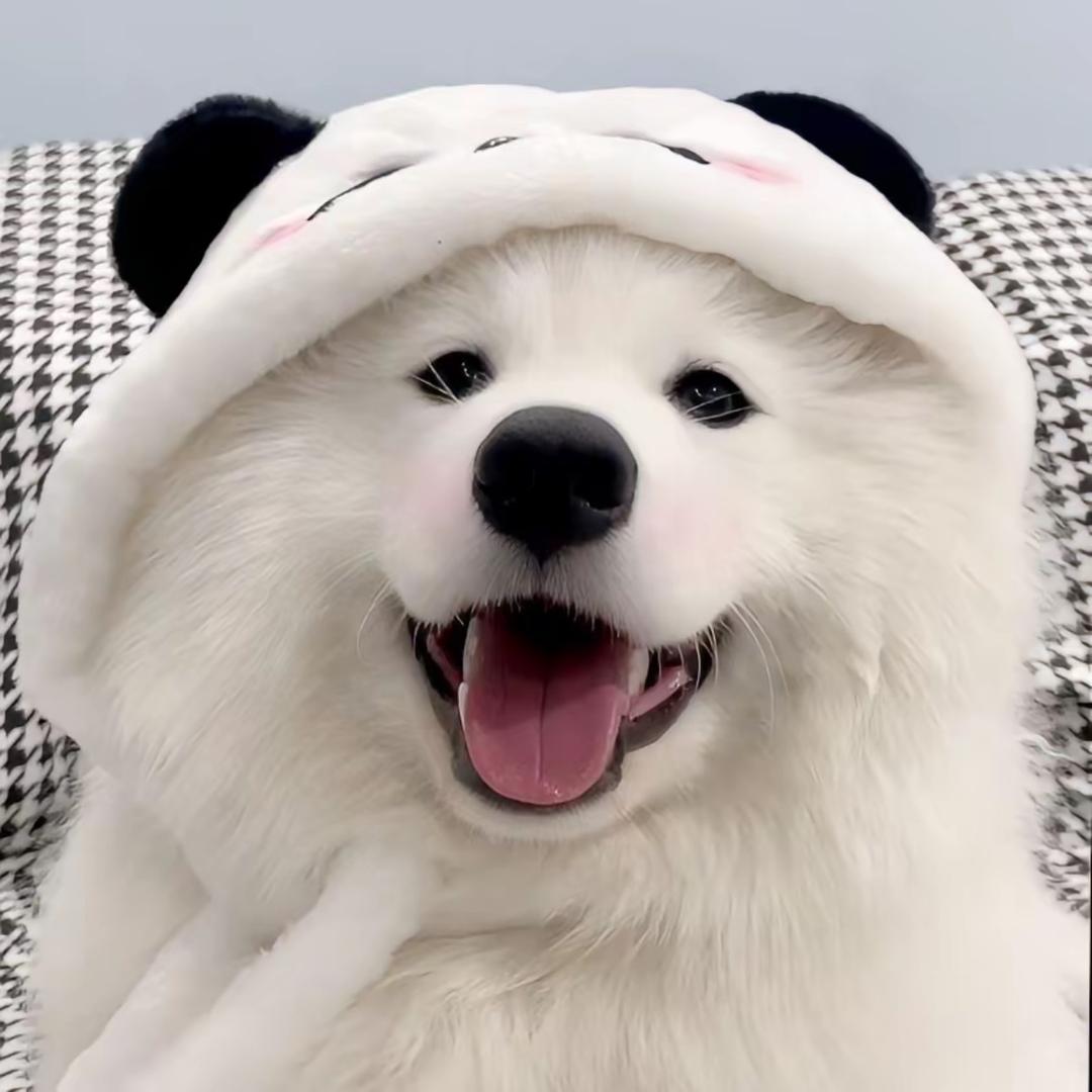 于桎悎