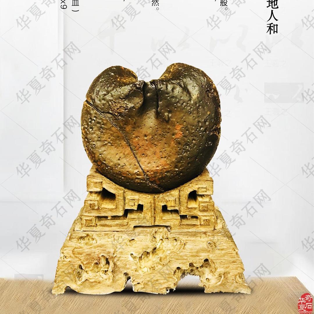 清平乐石会：张莹