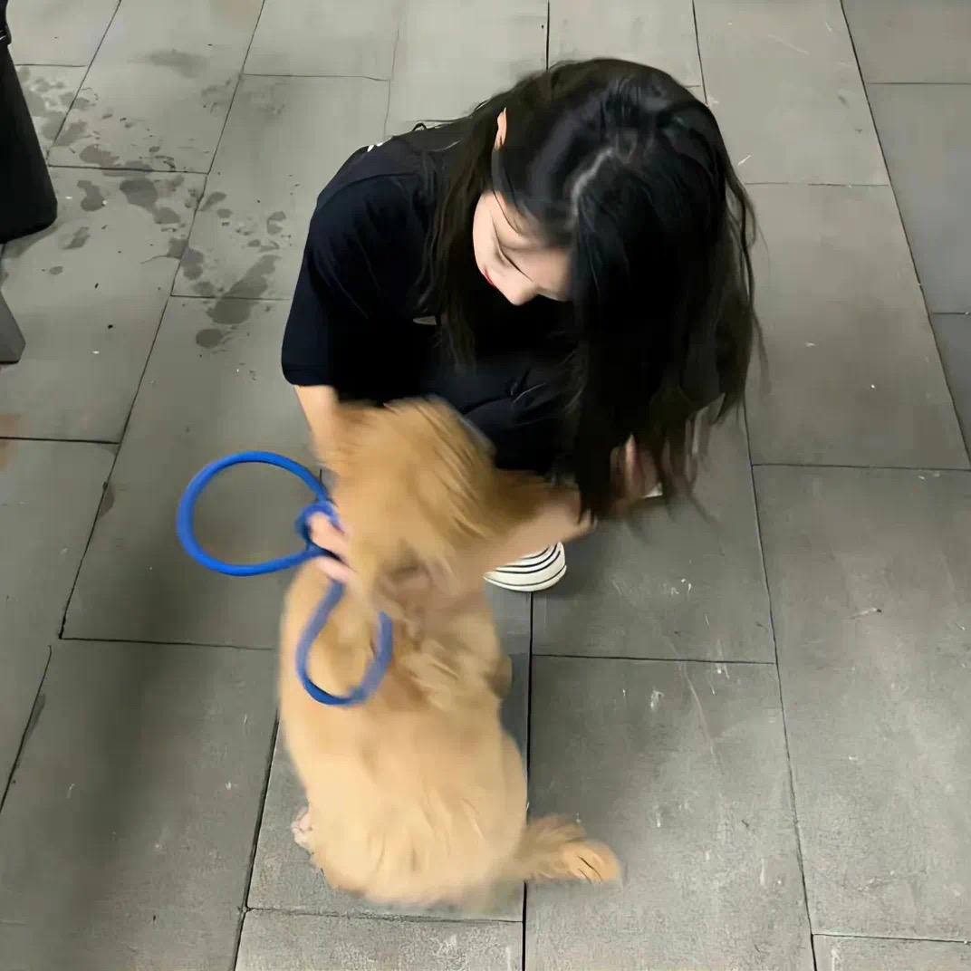 请叫我小美可爱版
