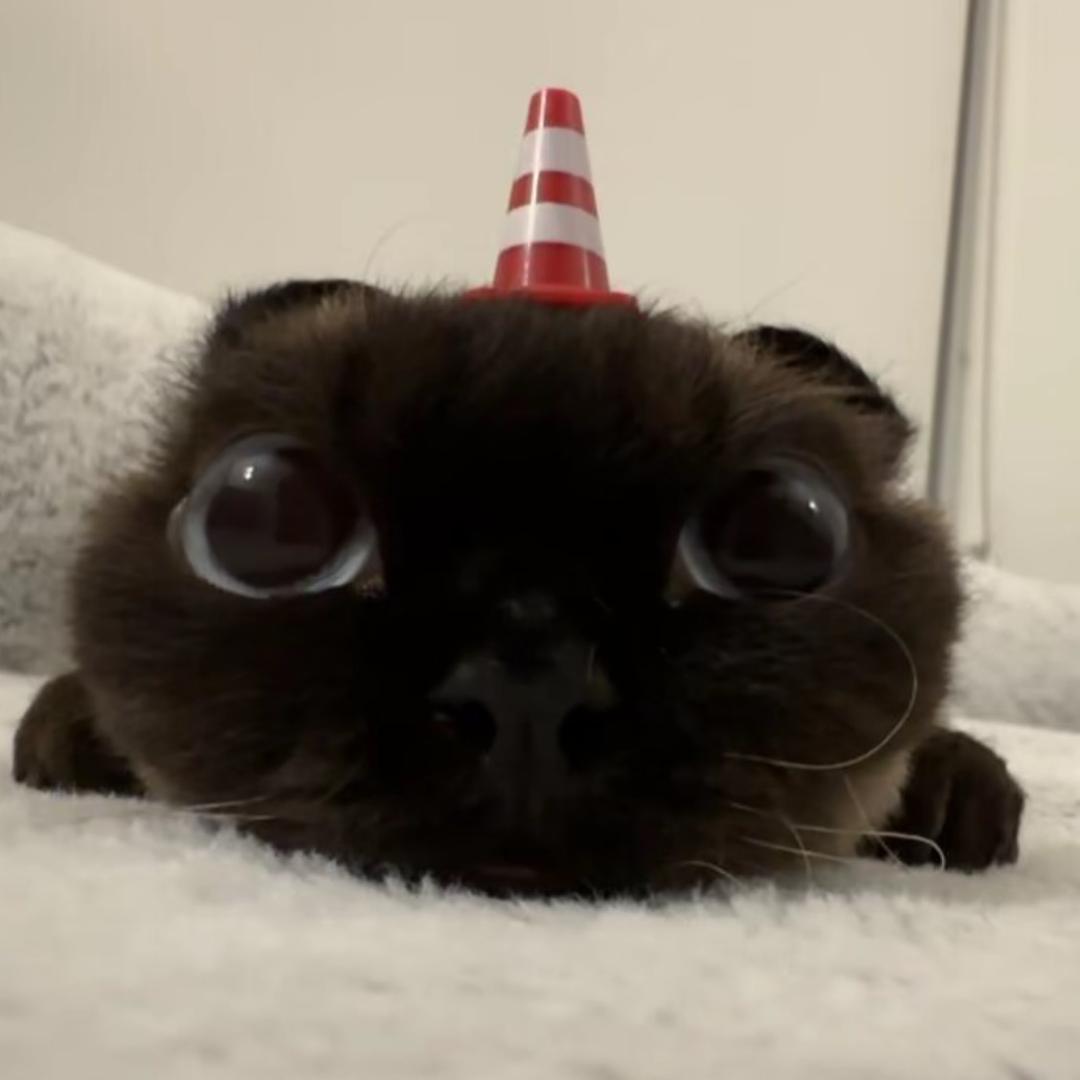 小井