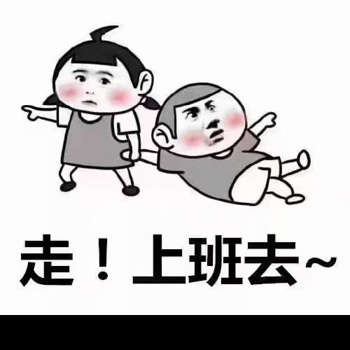 巅峰犬舍 出售大骨架幼犬