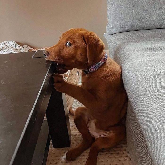 云边有家眼镜店