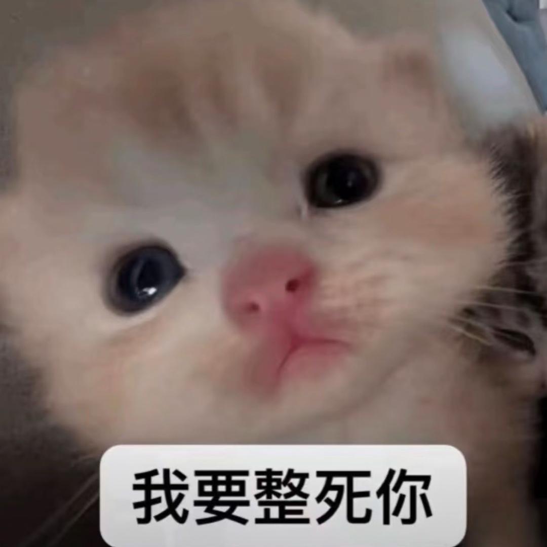 张圆英
