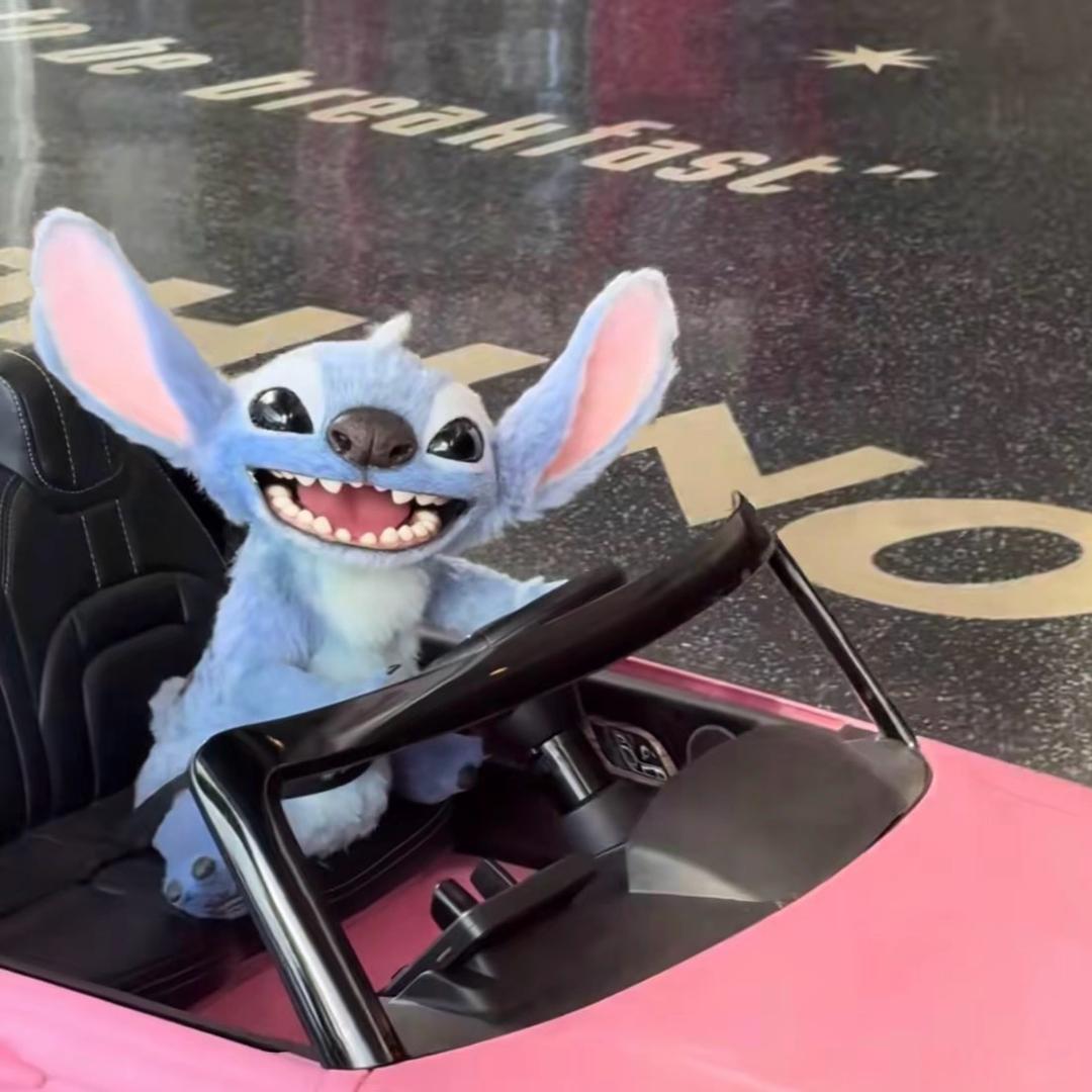 明天见.🐾⋆͛*