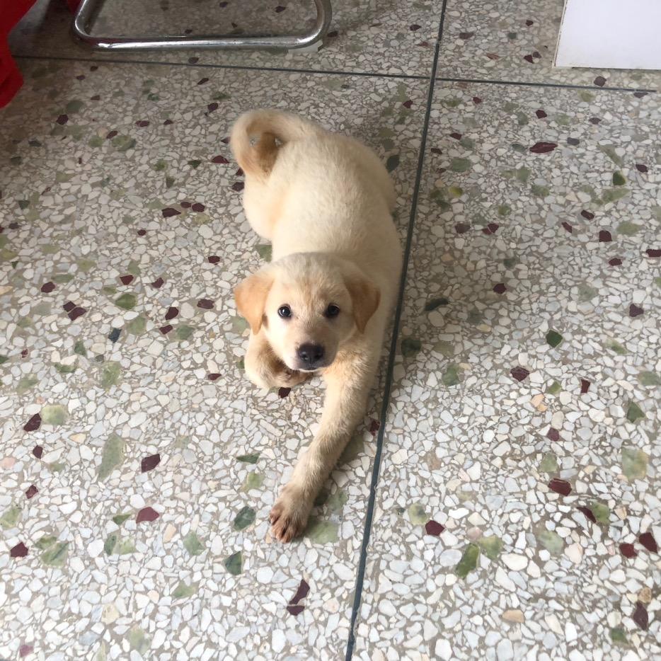 @避风港