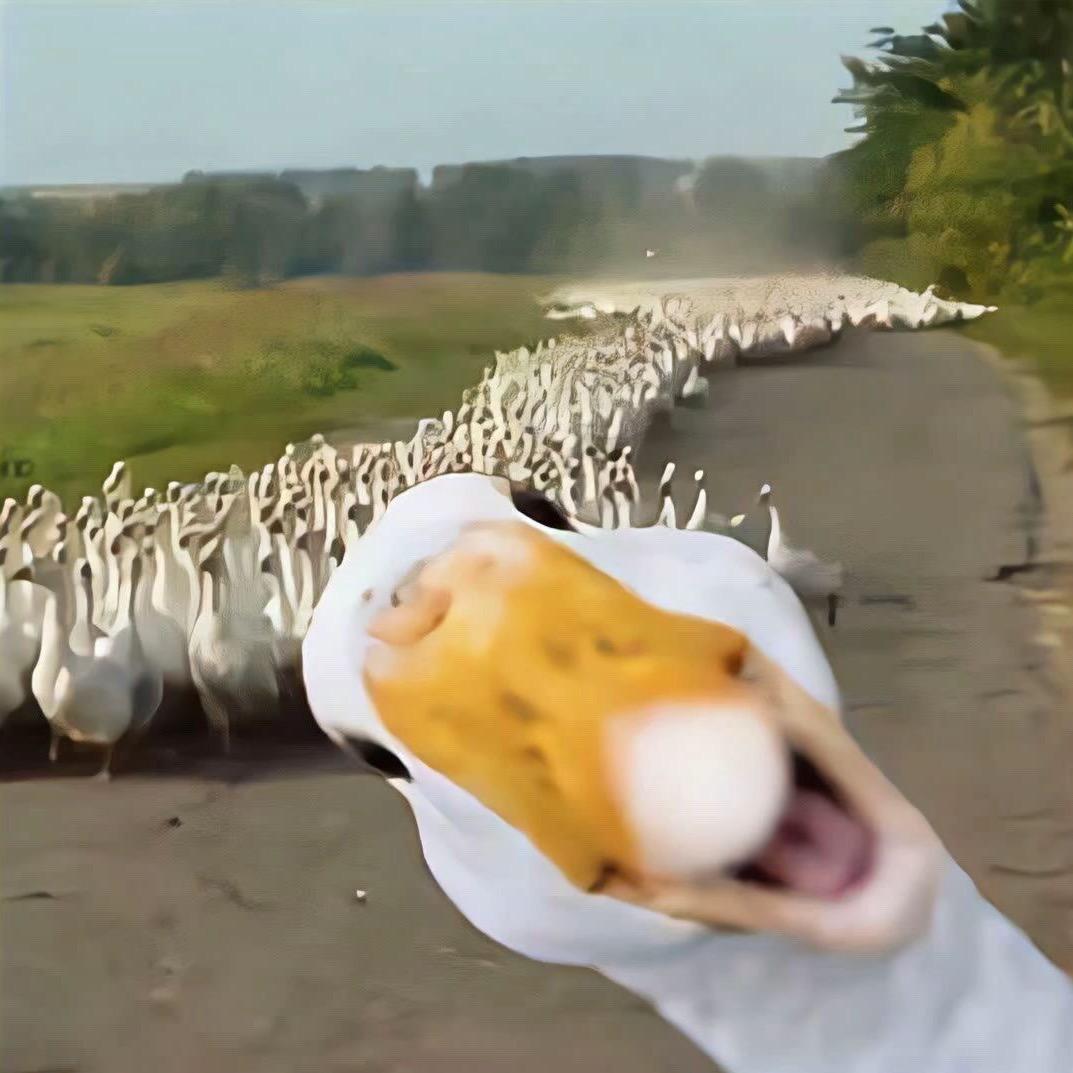 十三y