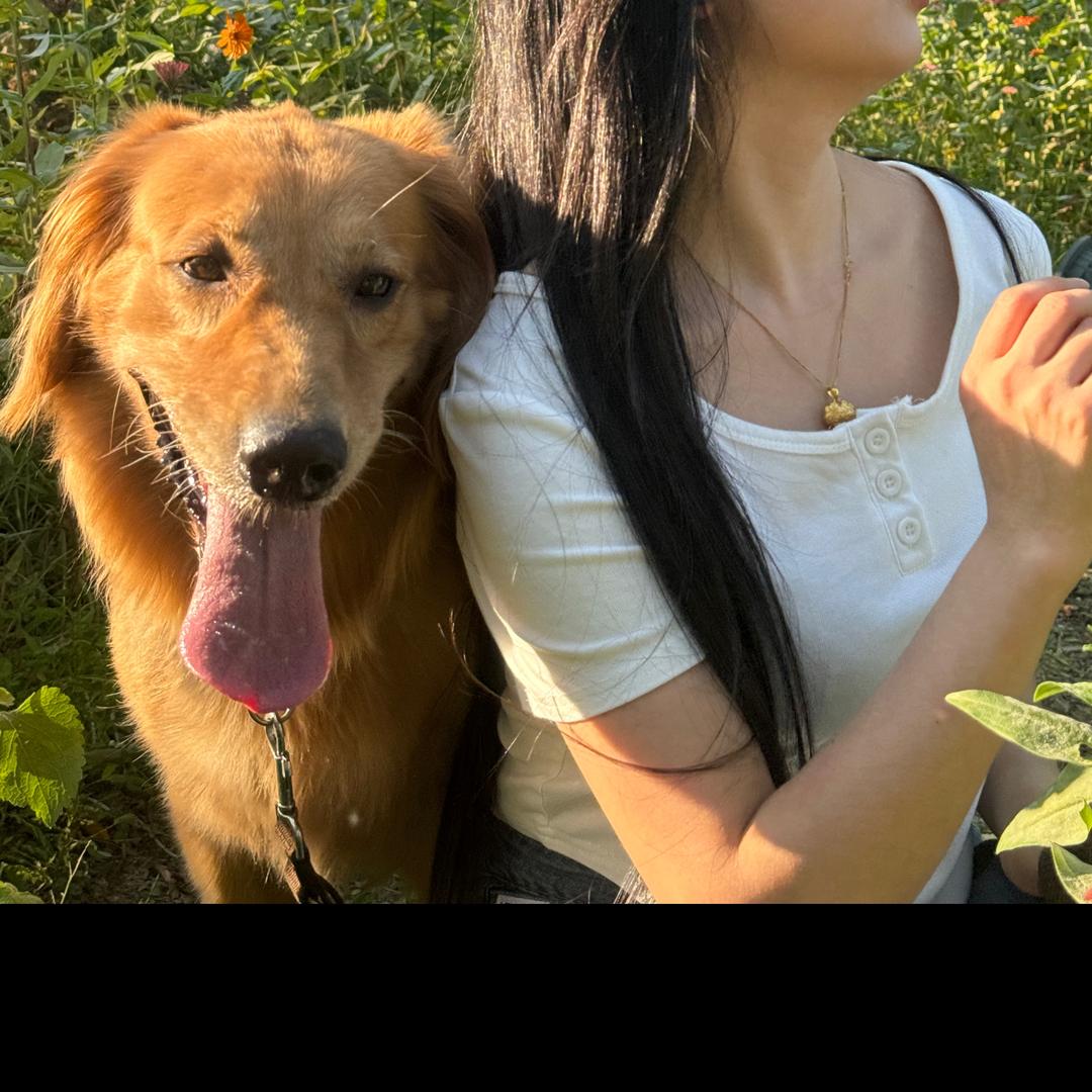 汤圆不圆