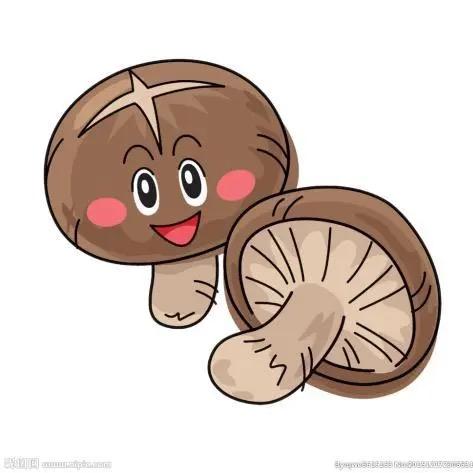 夏末的【晨曦】