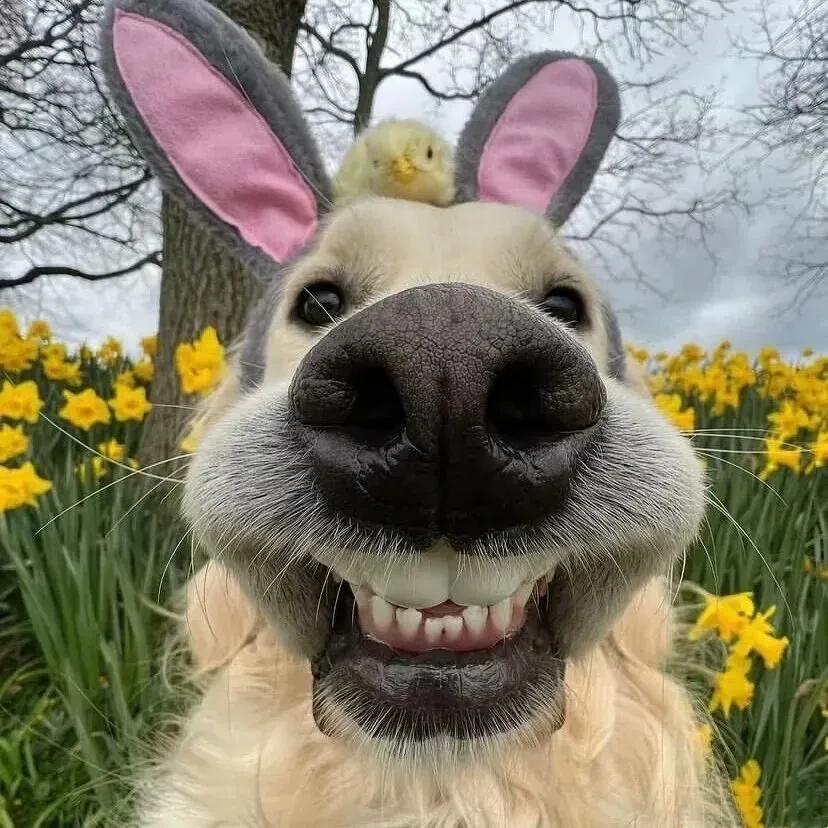 一等我还没上车