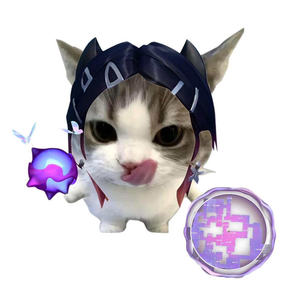 猫猫