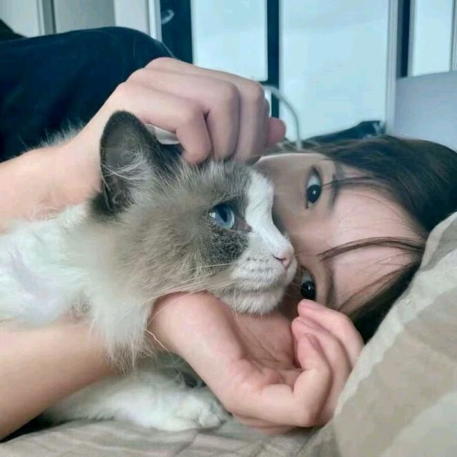 我没惹你吧