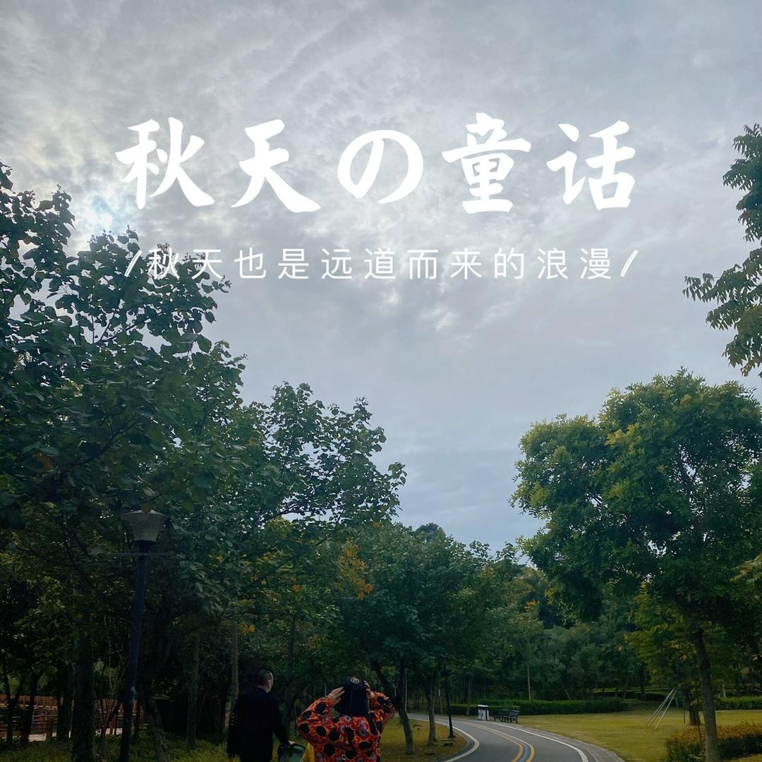 v58www柠檬