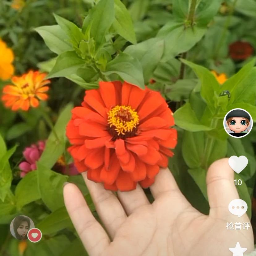 夏日炎炎