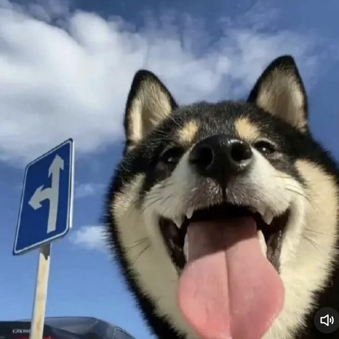 明明🏍️