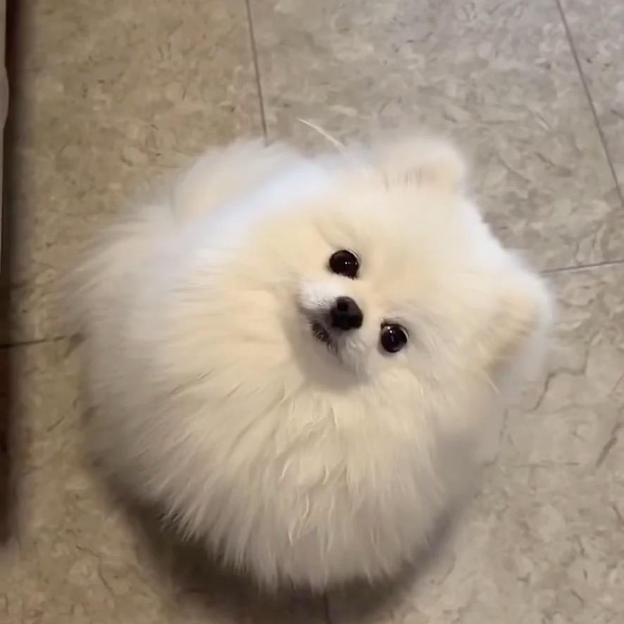 不吃辣酱