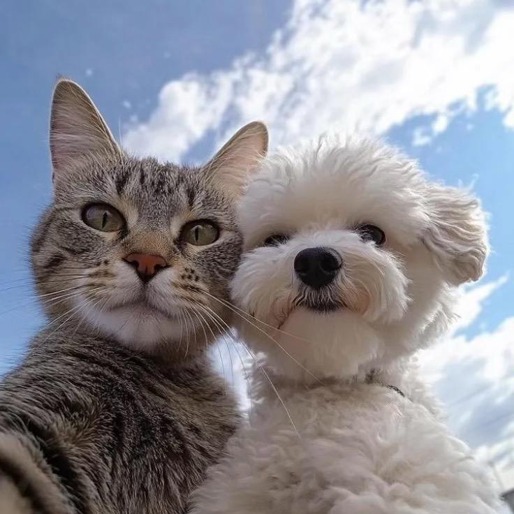 宠物零食华东3号仓