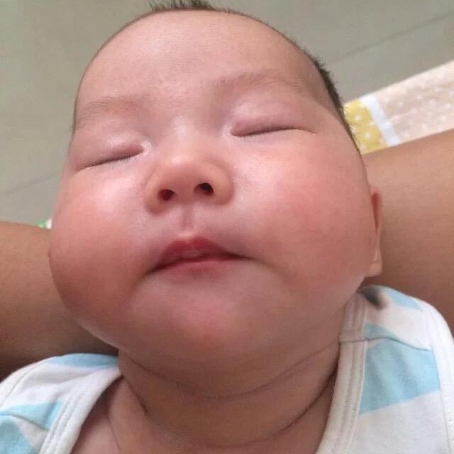 山茶花读不懂白玫瑰