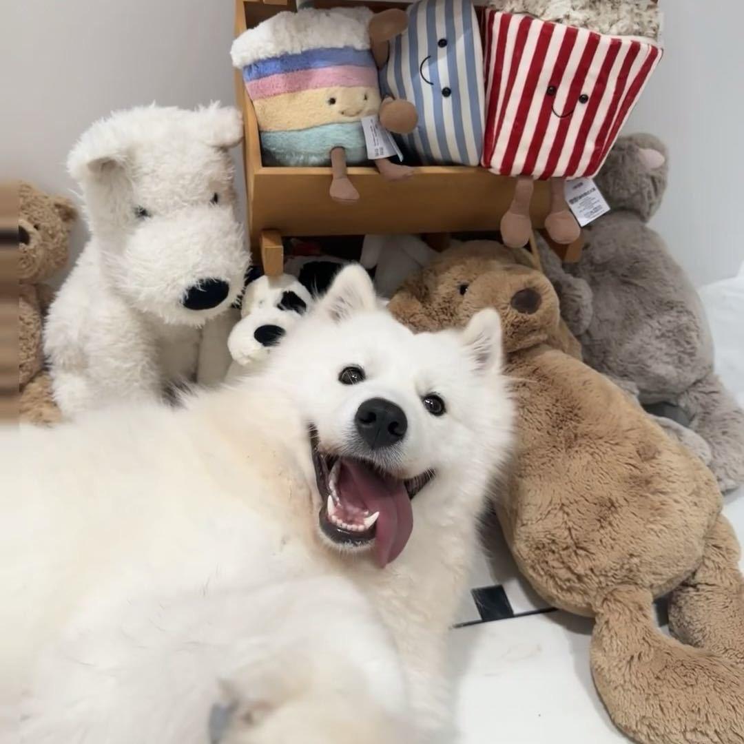 Lǐᴗǐ