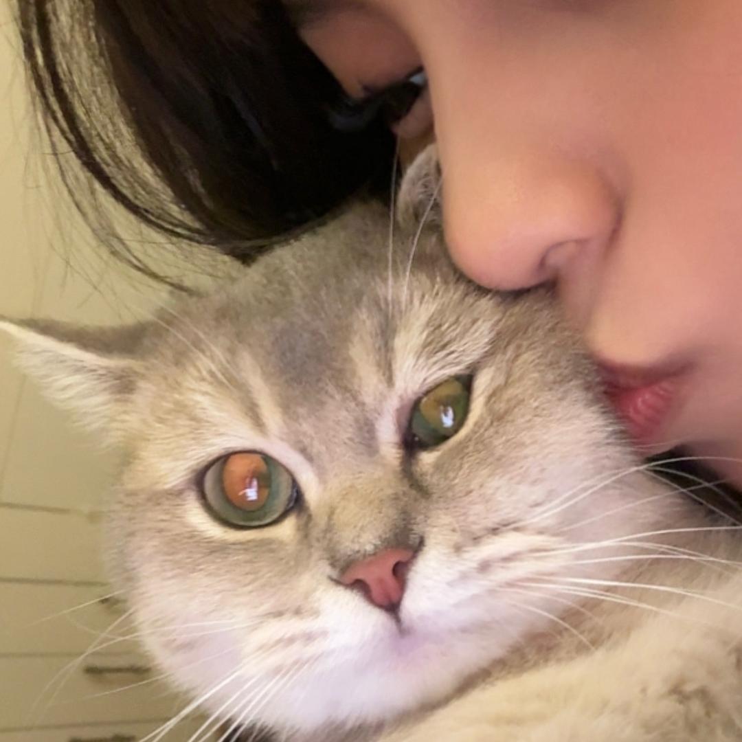 安琪拉的娃娃
