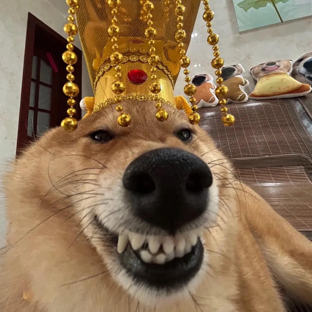 风啊