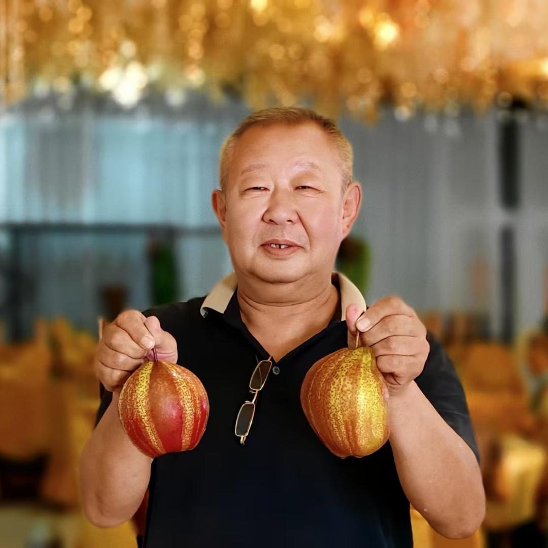 平度红梨唐妃思