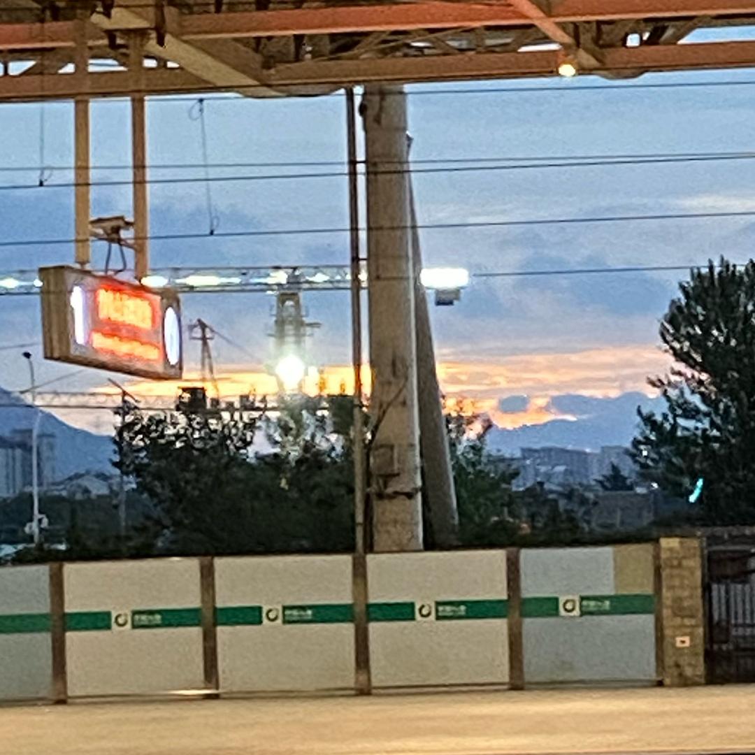 网恋被嘎一个腰子