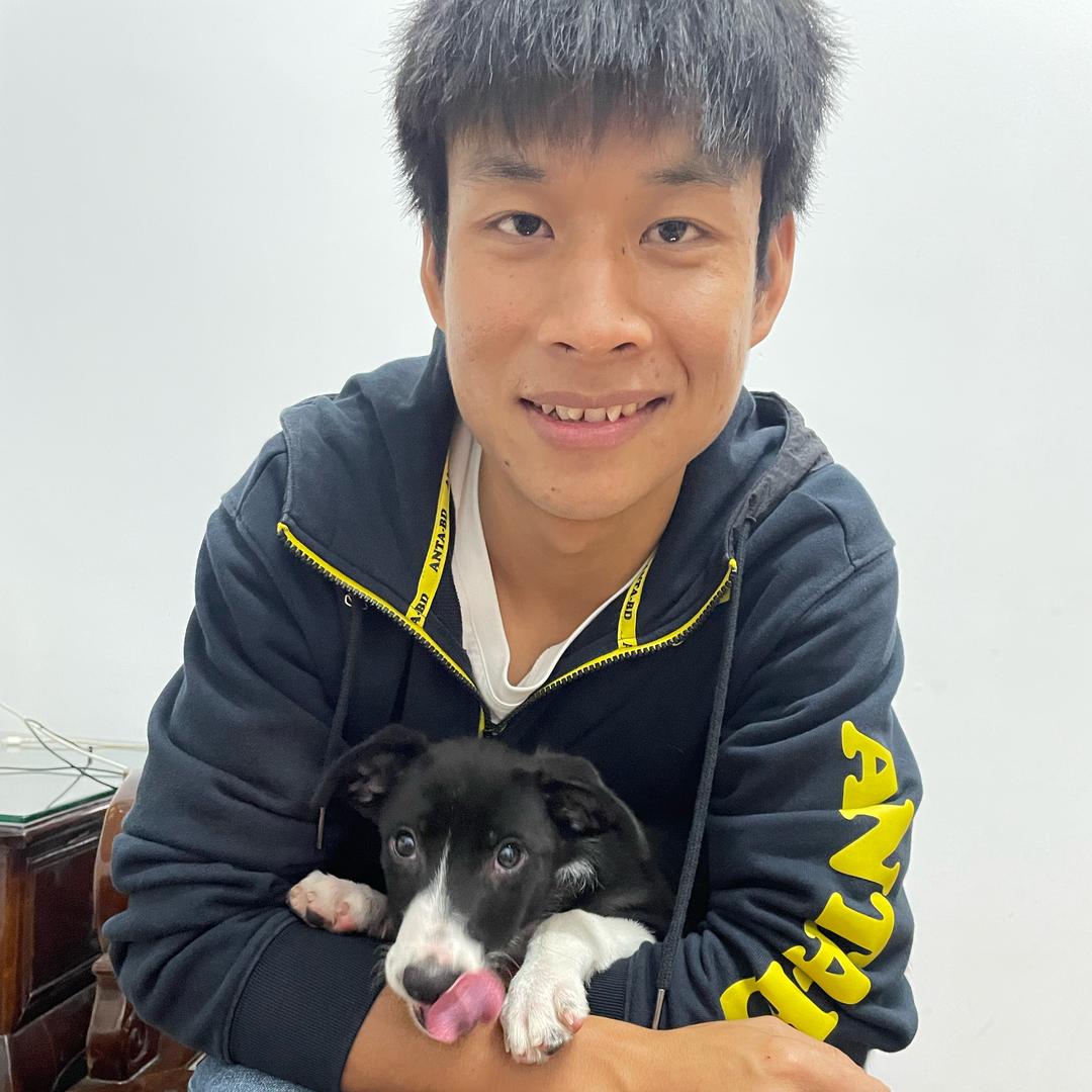 悦哥训犬