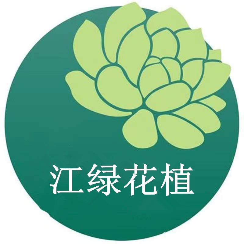 江绿花植