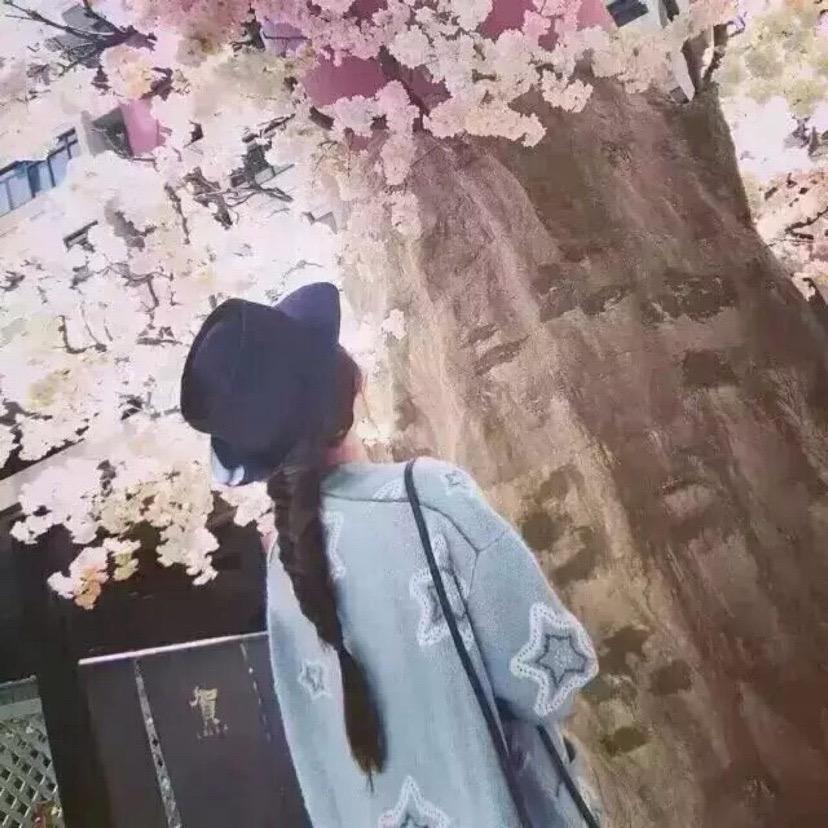 🍒小木子