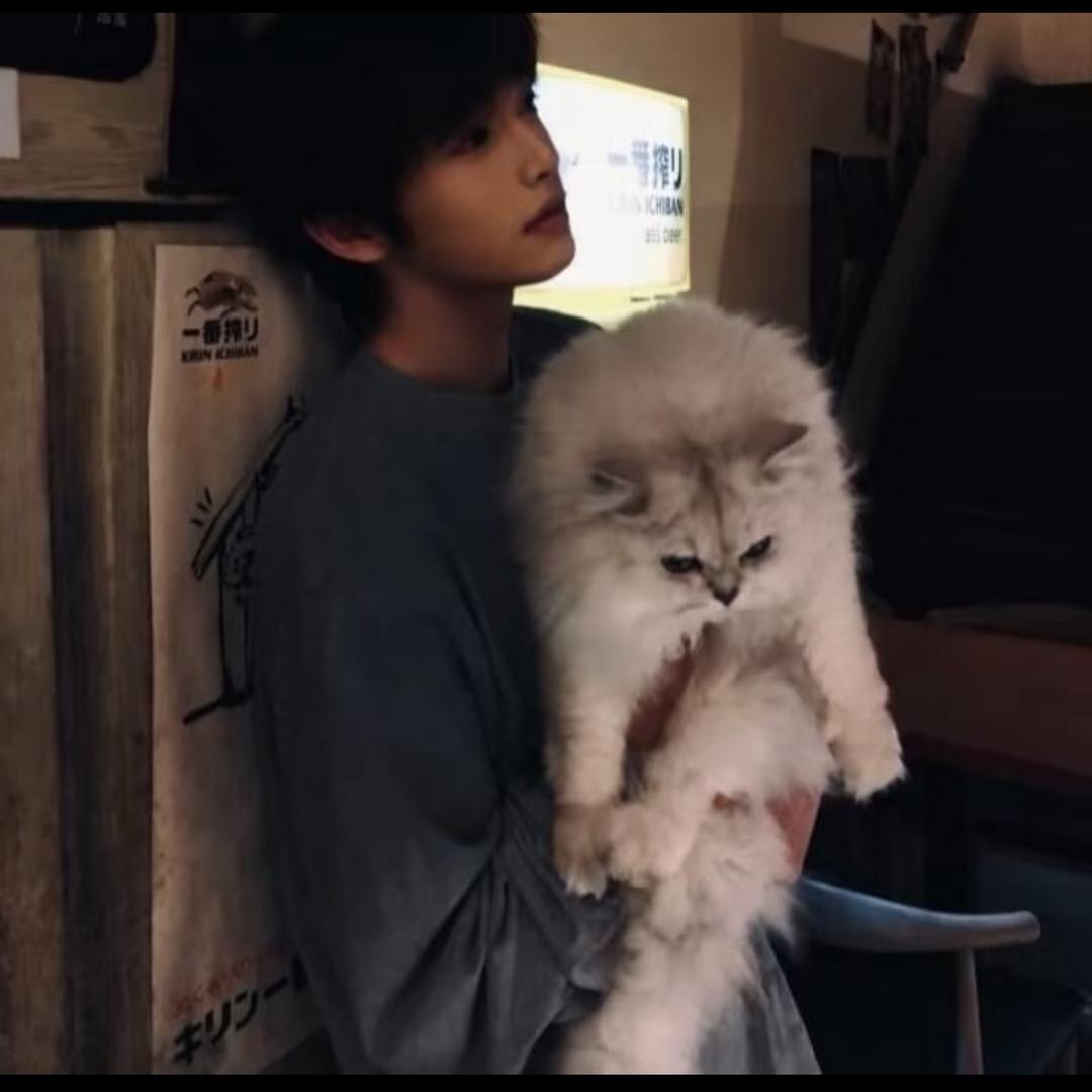 秋的白的白个球