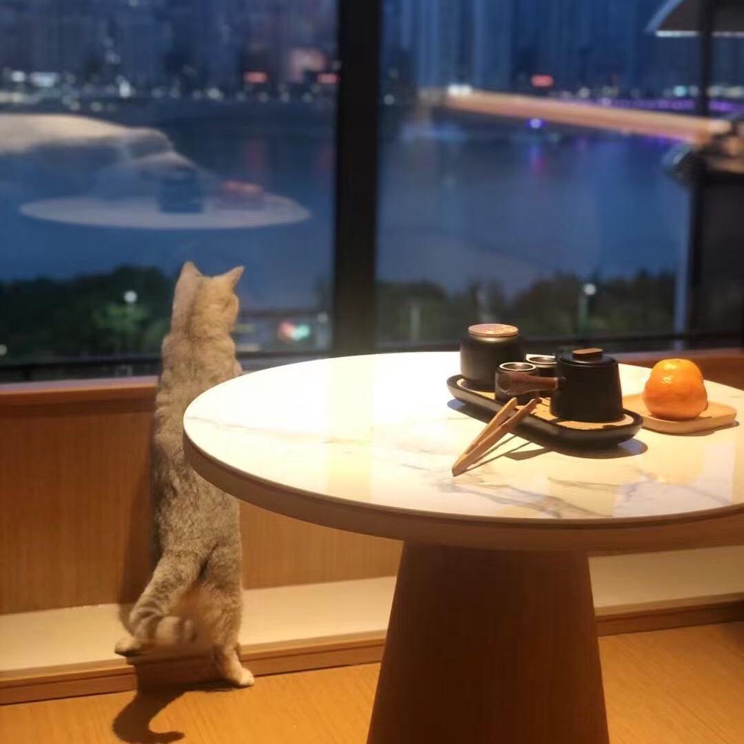 悦宁溪