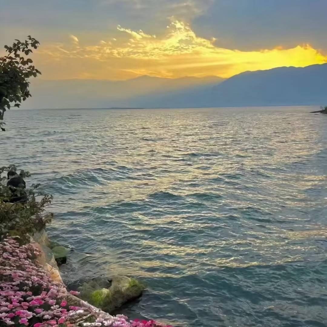 亲爱的佩慈🧚‍♀️