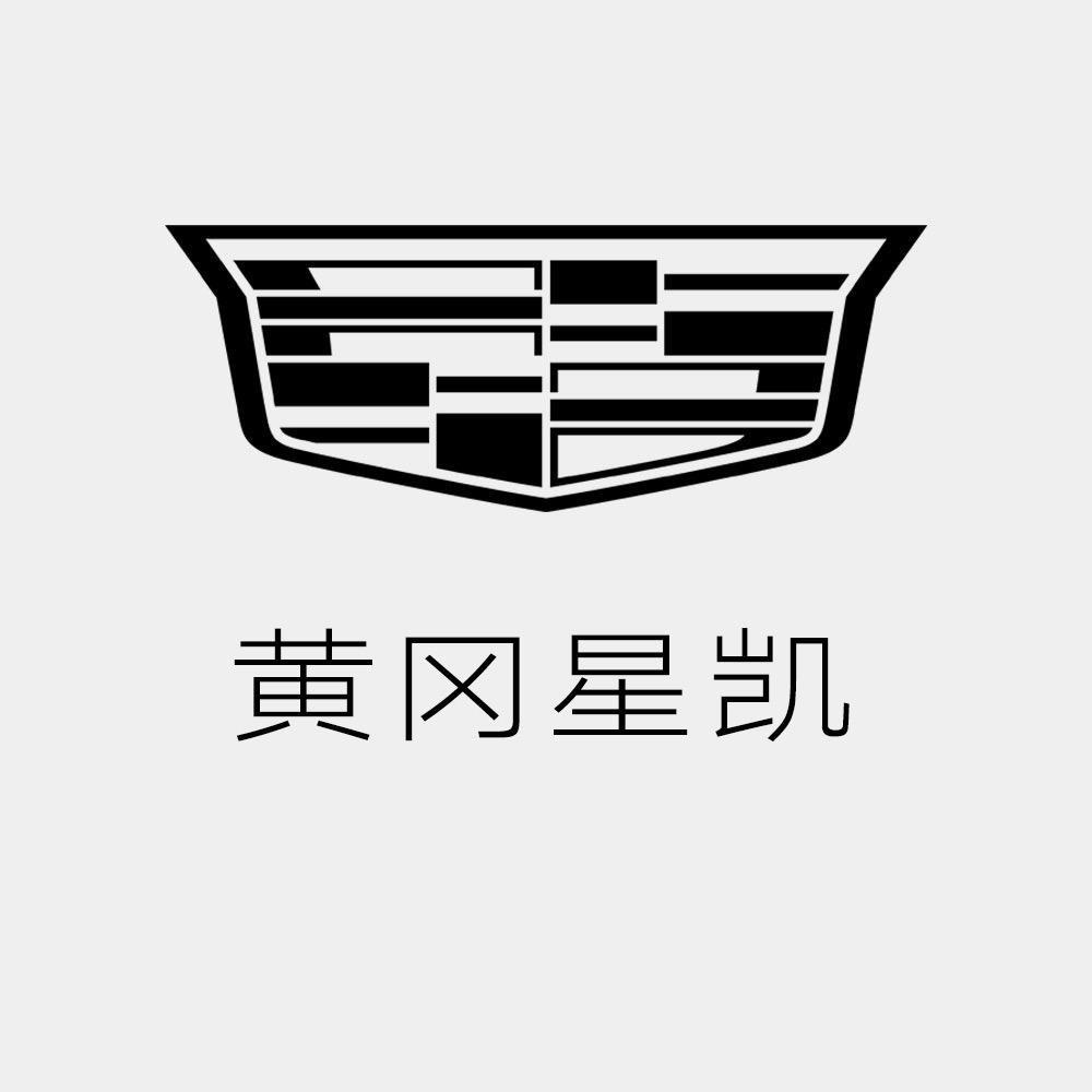 凯迪拉克IQ—黄冈星凯（明珠大道店）