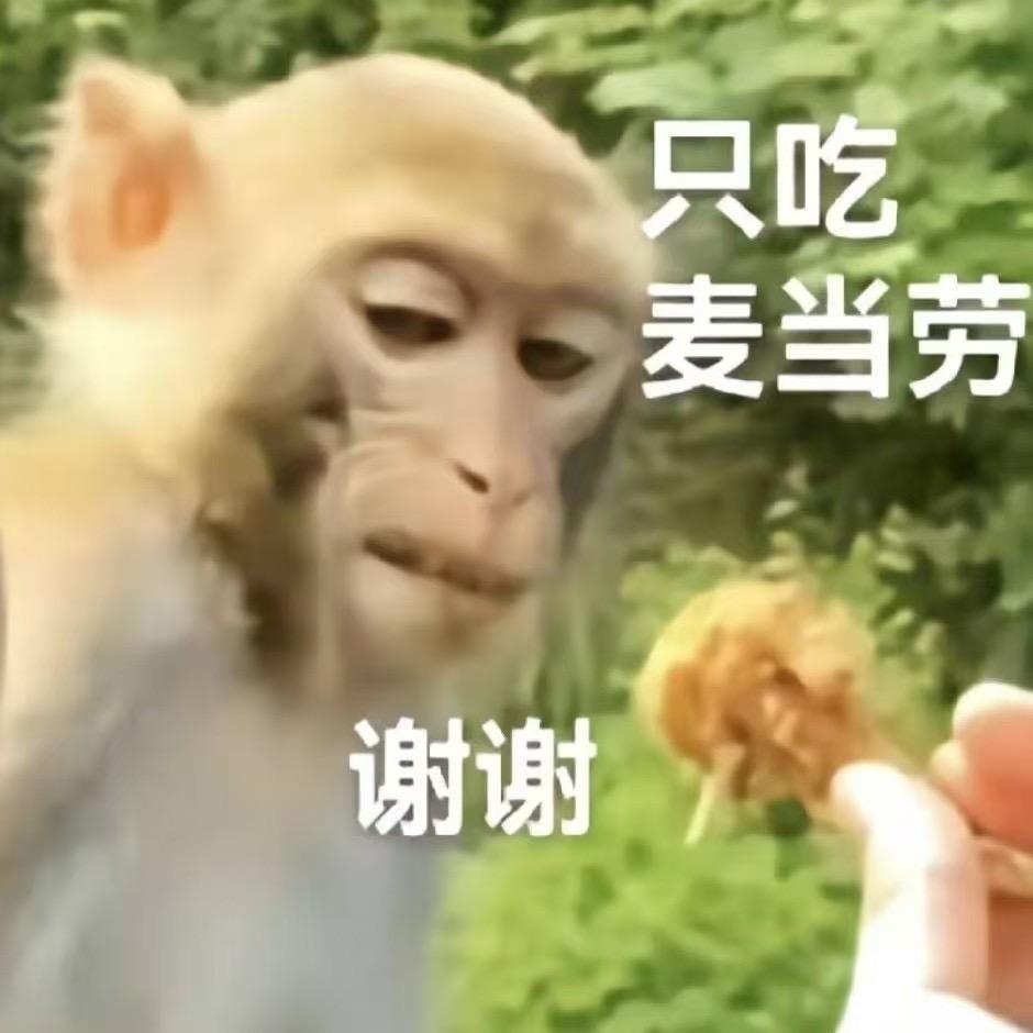 江心贼