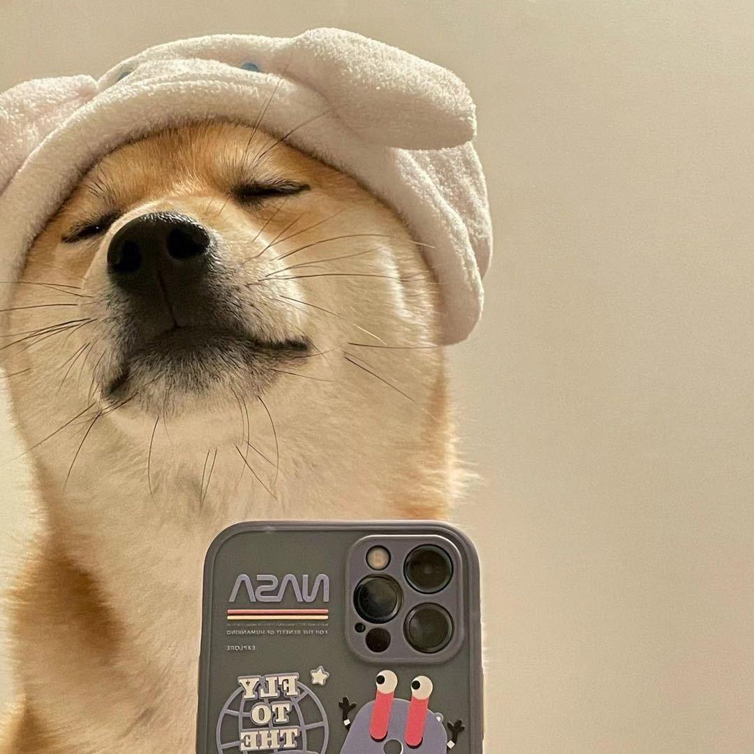 班什么梅
