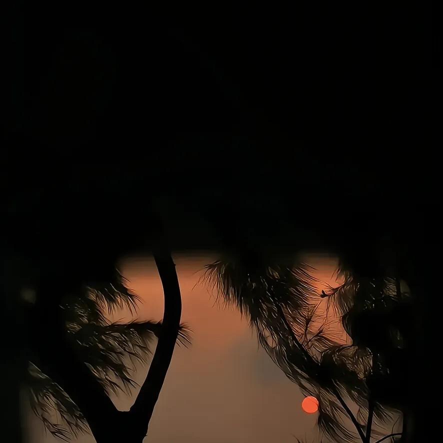 是小李啊