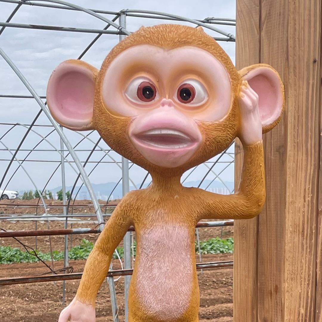 小小凯