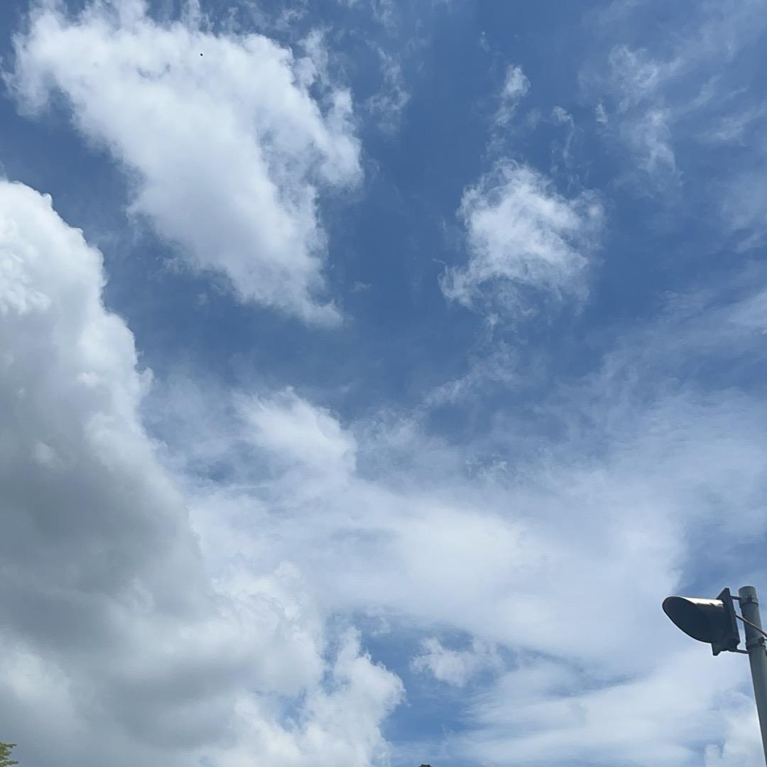糖宝宝