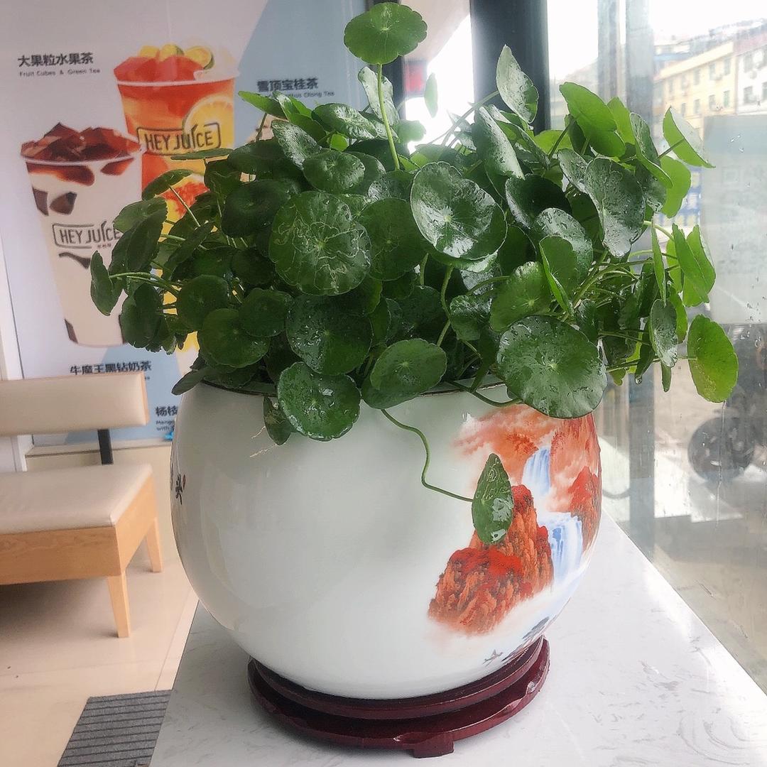 北雁南飞客