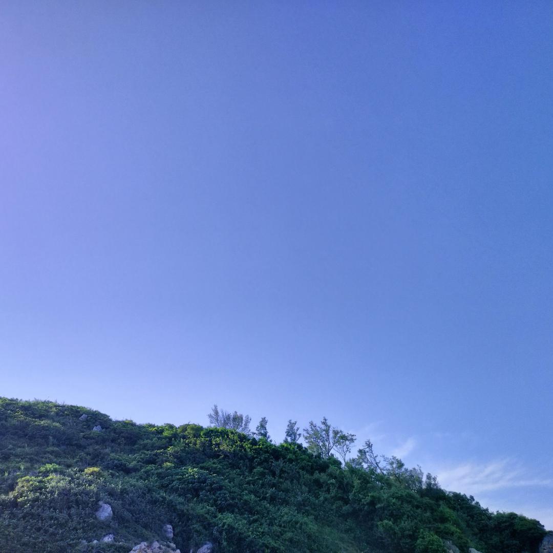 欧朵