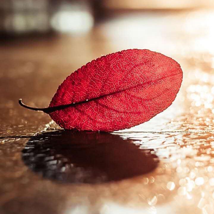 @海天