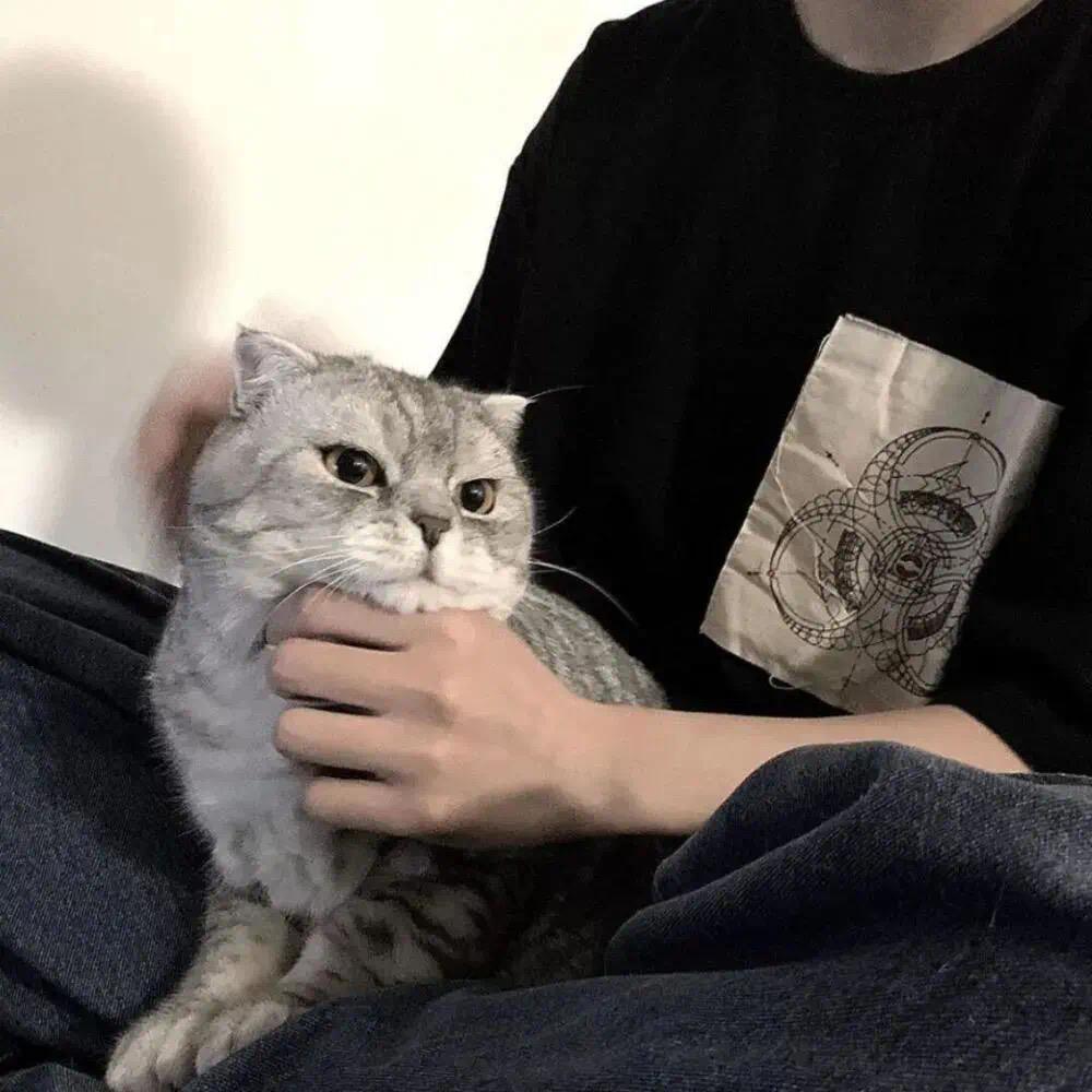 Lin