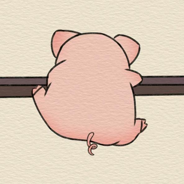 朱小朱
