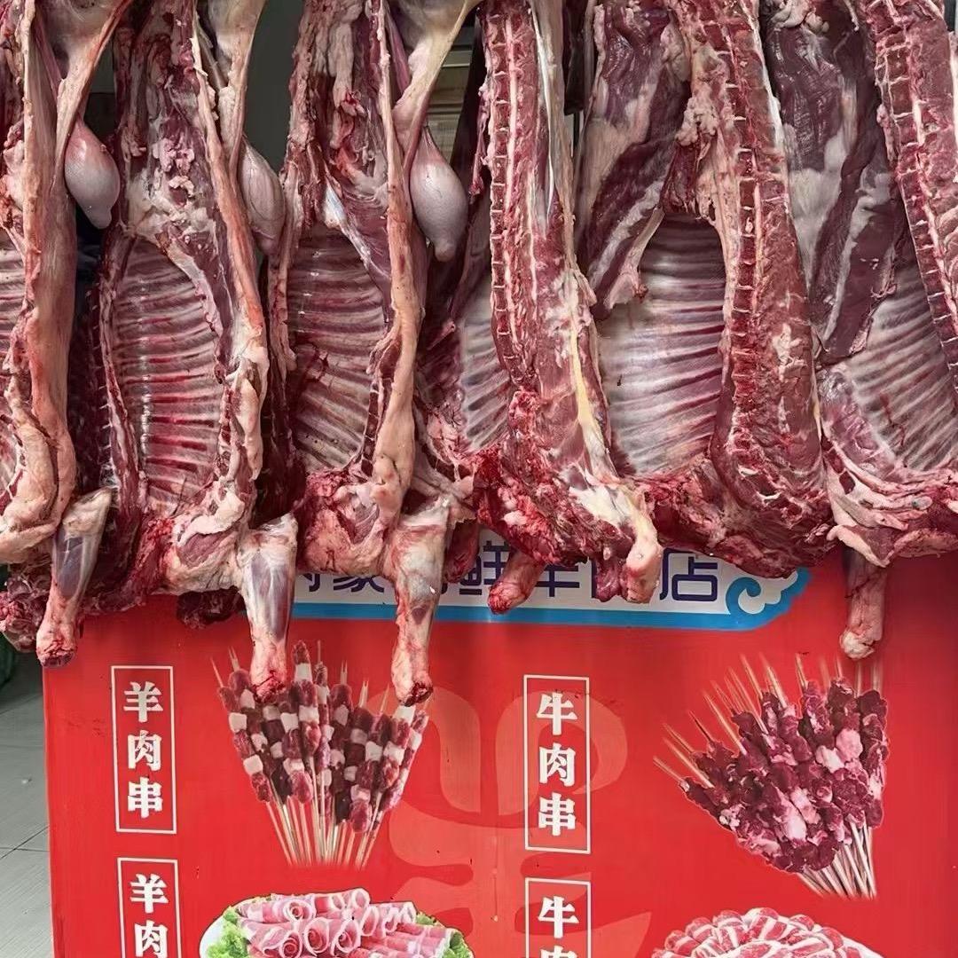 新疆羔羊肉,现穿!新鲜牛羊肉串批发可零