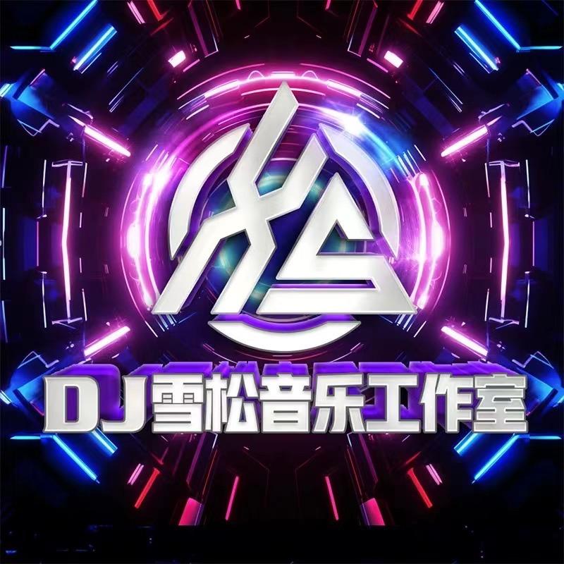 DJ雪松（车载硬曲）