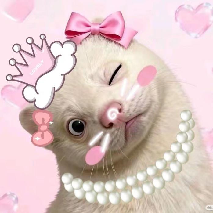 雨天🌧️.𝓧👑敏