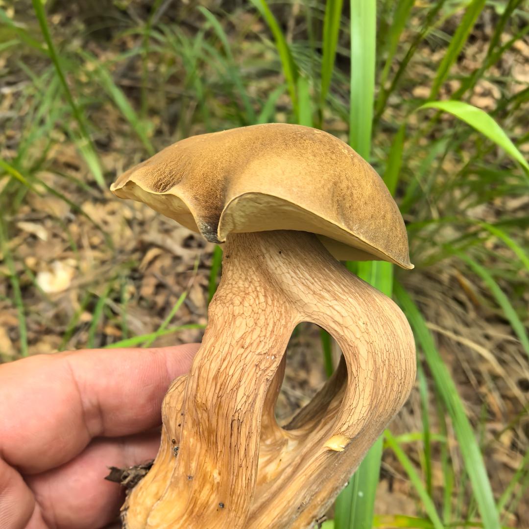 承德山货赵梓炎